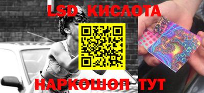 прущие грибы Анапа