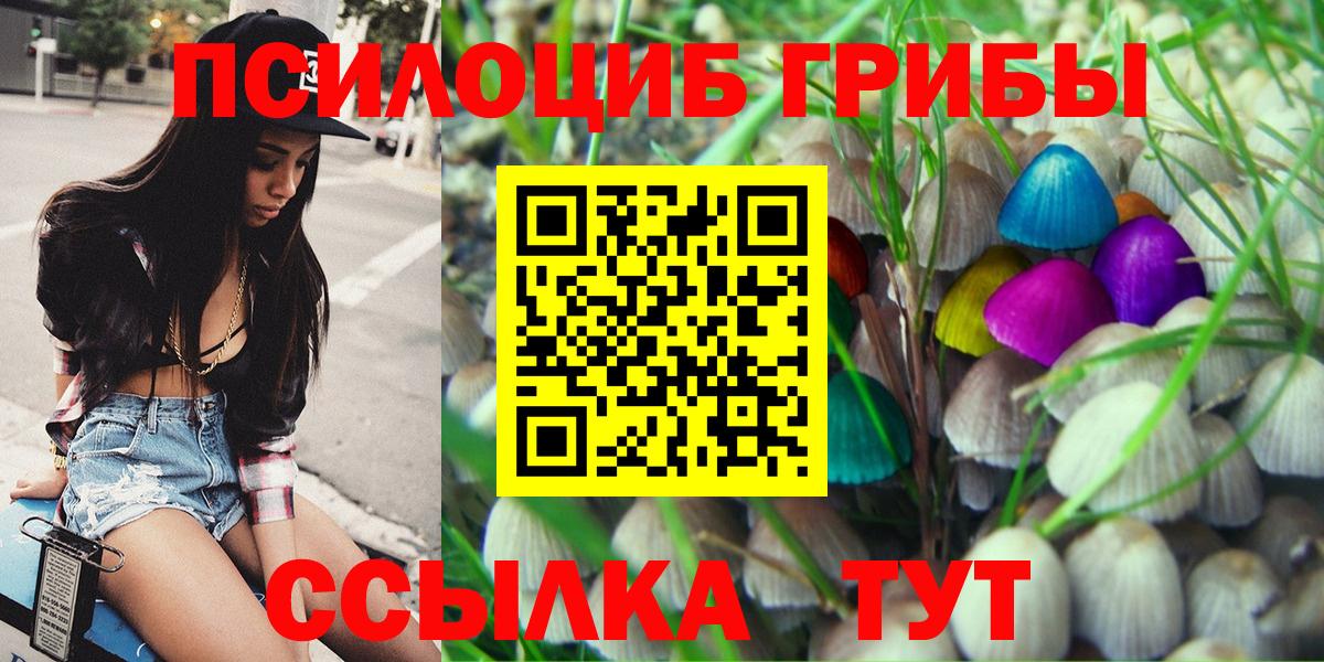 Псилоцибиновые грибы ЛСД Гатчина